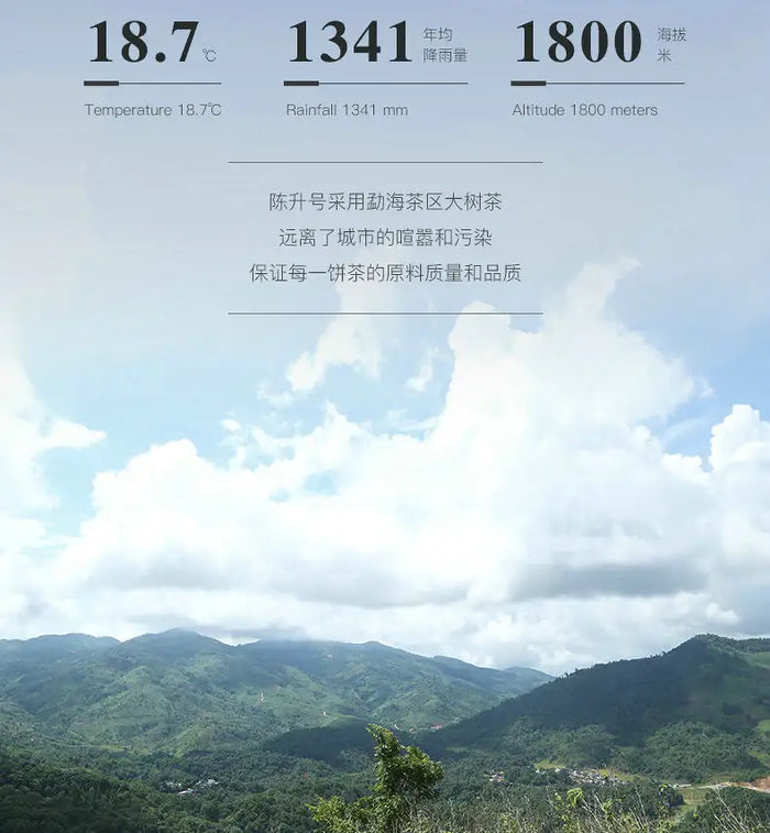 2019 ChenShengHao "Yue Yuan"(Full Moon) Cake 357g Puerh Raw Tea Sheng Cha - King Tea Mall