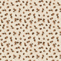 Acorns Cream- Oh My Gourd!