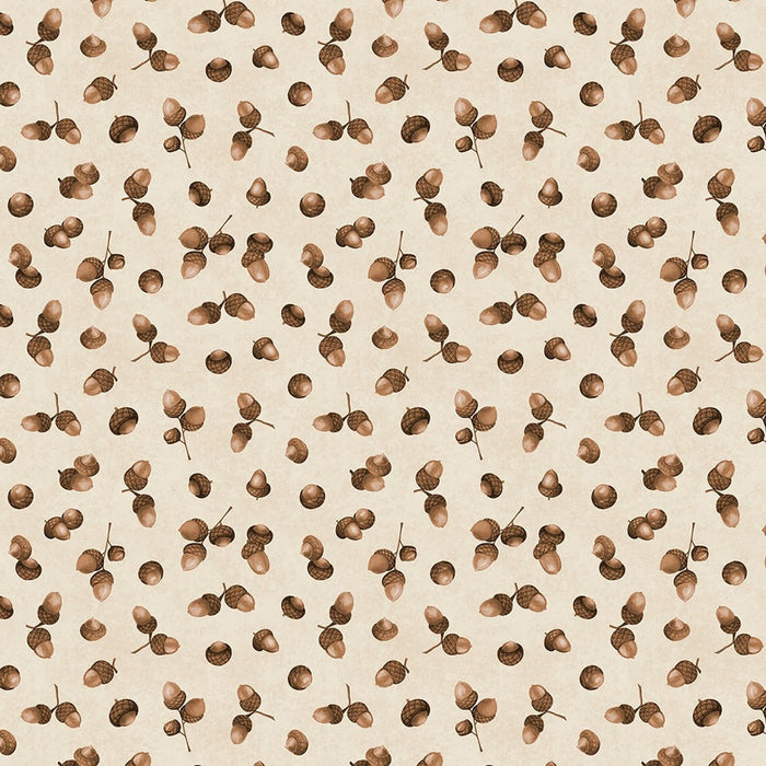 Acorns Cream- Oh My Gourd!
