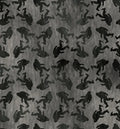 APNWSH 2026 Big Foot Gray