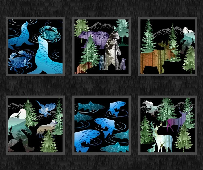 APNWSH 2026 Panel Multi