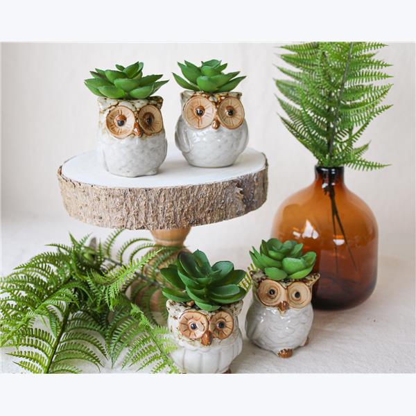Asst Stoneware Owl Whitewashed Succulent Planter — Youngs