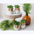 Asst Stoneware Owl Whitewashed Succulent Planter — Youngs