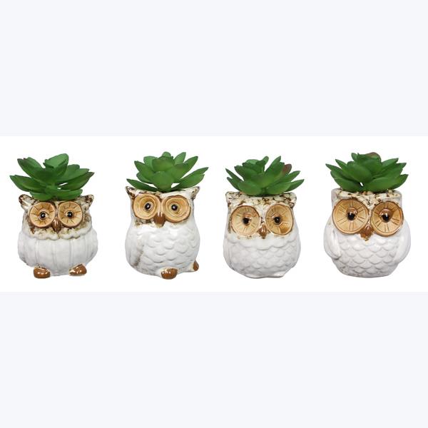 Asst Stoneware Owl Whitewashed Succulent Planter — Youngs, view 2