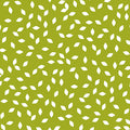 Avocado Geo- Renewal of Hope