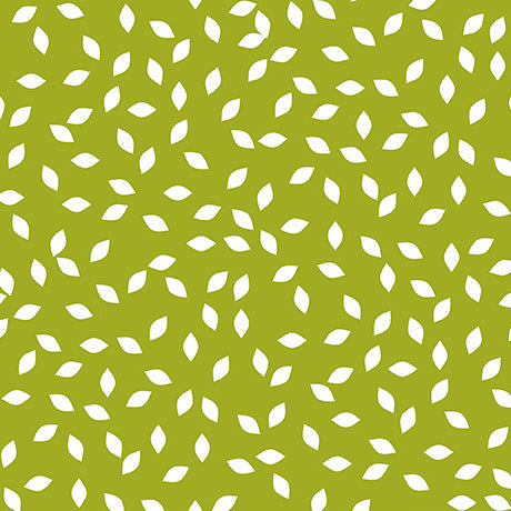 Avocado Geo- Renewal of Hope