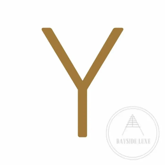 10 cm / Y