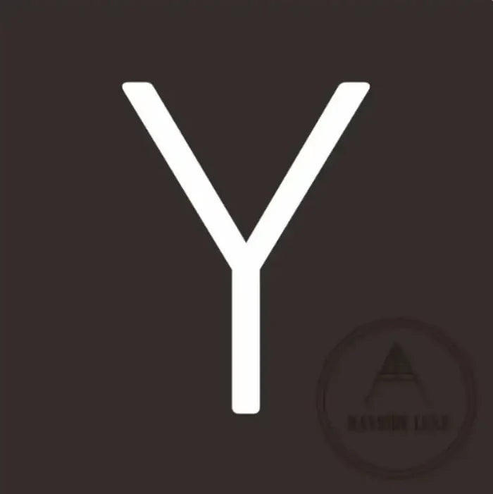 10 cm / Y