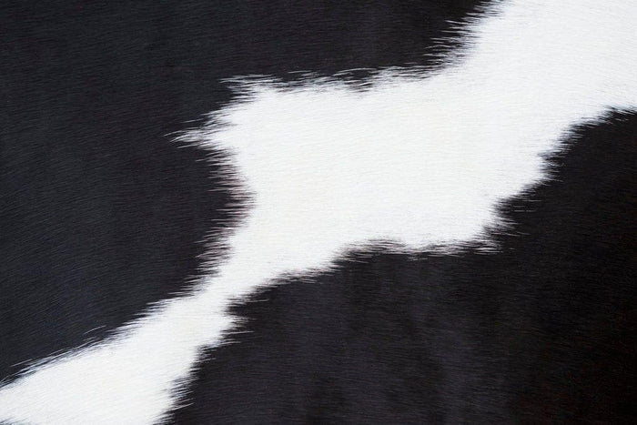Black & White Cowhide