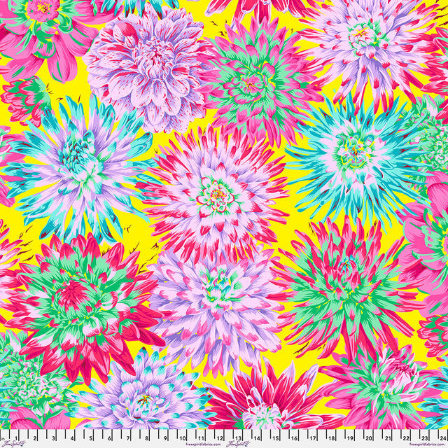 Cactus Dahlia- Spring- Kaffe