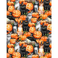 Cats & Pumpkins Multi- Spooky Tails