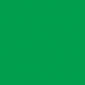 Confetti Cotton- Emerald City