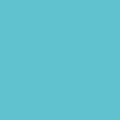 Confetti Cotton Solids- Riley Aqua
