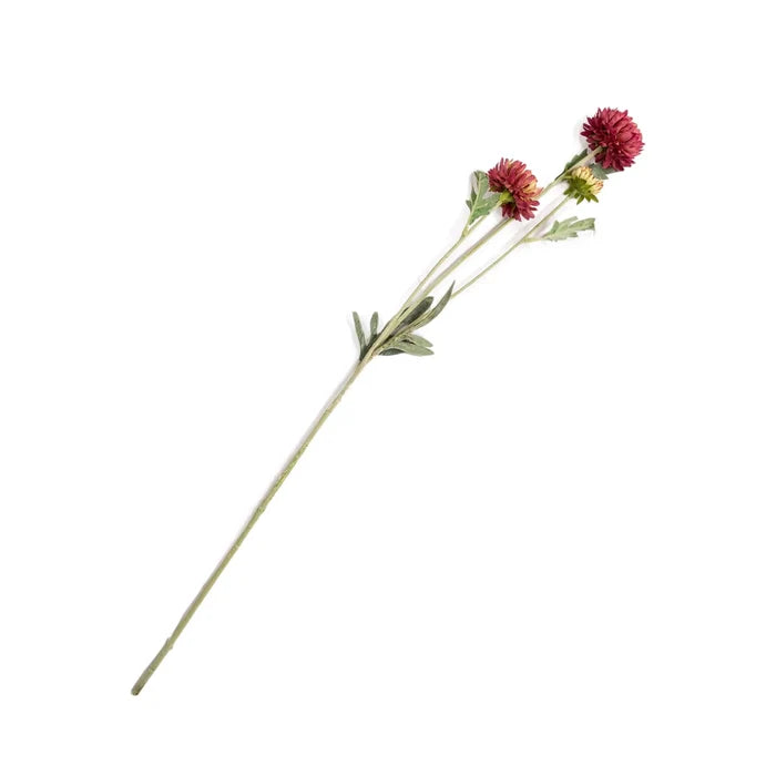 Daisy Bush Stem