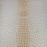 Faux Crocodile/Ostrich-Cream 18 in x 54 in