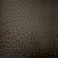Faux Ostrich- Black 18 in x 54 in