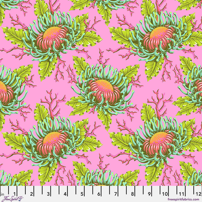 Friends & Anemones- Coralline- Floral Reef