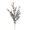 Frosted Berry Stem