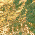 Gold Unicorn Faux  Leather 1 yard