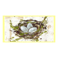Haley Nest With Eggs Swap