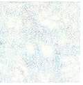 Hoffman 885 Dot Batik- Aurora