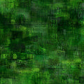 Interwoven Forest
