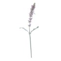 Lamb's Ear Stem