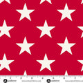 Large Red Stars- Americana 108"