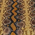 Light-Weight Snake Vinyl- Blue/Brown 18 in x 54 in