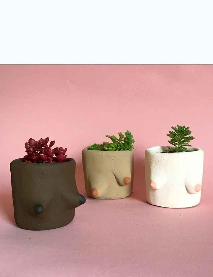 Mini Boob Pot