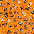 Orange Halloween Monster Toss- A Haunting We Will Go