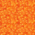 Orange Spiderwebs- Witchypoo