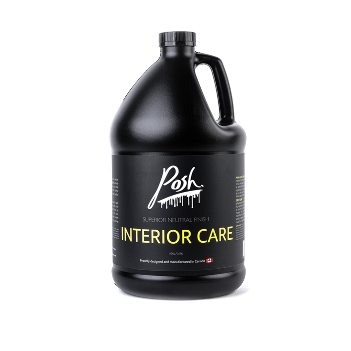 Posh Detailing | Interior Care