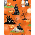 Scenic Cats Orange- Spooky Tails