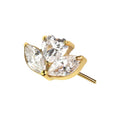 Stella Bloom Gold Flat Back Labret