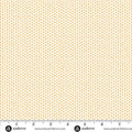 Stitch Line Cream Orange- Nightfall