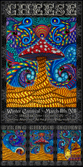 String Cheese Incident Broomfield - 2011 (3 Panel)