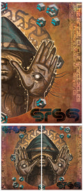 STS9 Denver - 2012 (1 Panel)