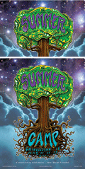 Summer Camp Music Festival - 2011 (2 Panel)
